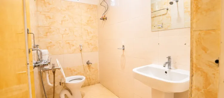 Suite Room Washroom